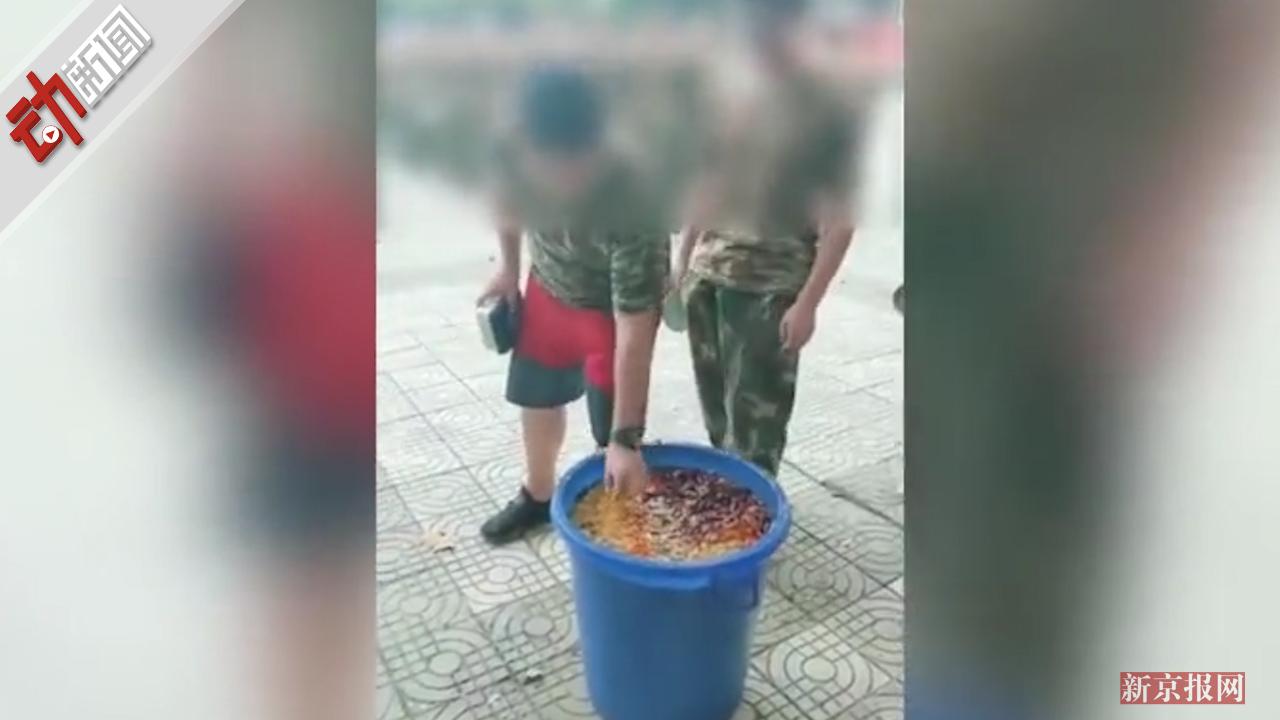 官方回应学生军训被迫吃泔水:已解聘教官 当