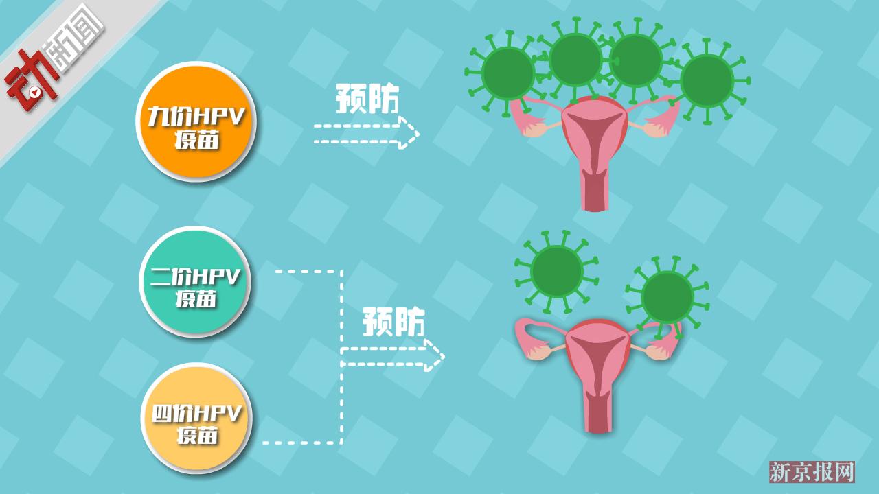 圳九价宫颈癌疫苗摇号接种 动画科普和二价、