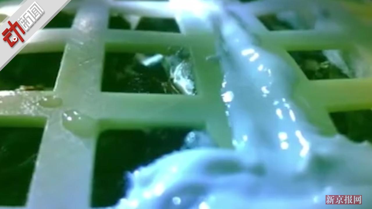 嫦娥四号生物实验长出月面第一株嫩芽 还有哪