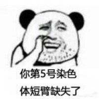 海外中国现代文学研究的理论于我有何“用”？...