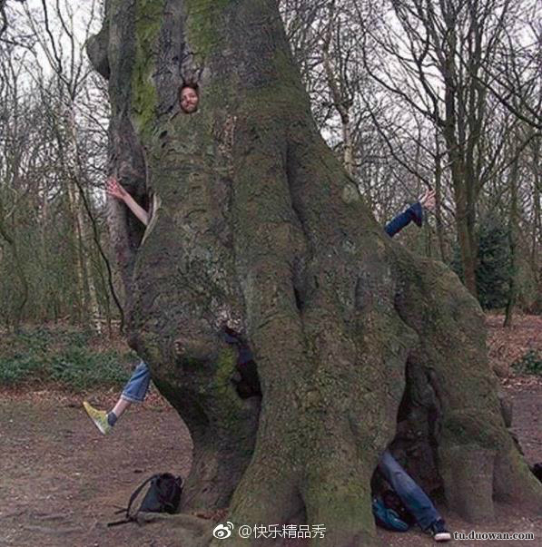 求别下雨了都晒不干内裤了 轻松一刻2月22日晚间版