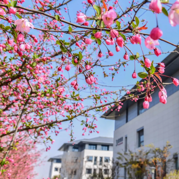 我淮安的!热播剧《青春斗》女主角带你逛淮安