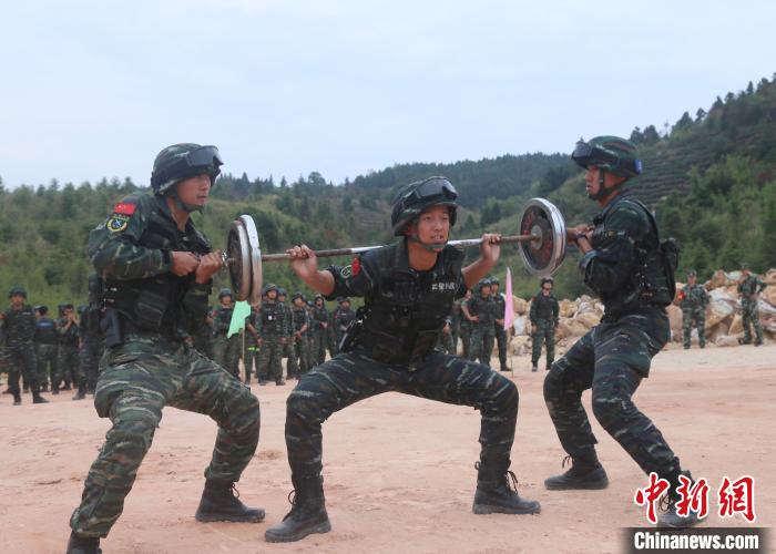 澳门鼎利国际_快来!你们期待的6.11城师宝典答案已送达,快接收~