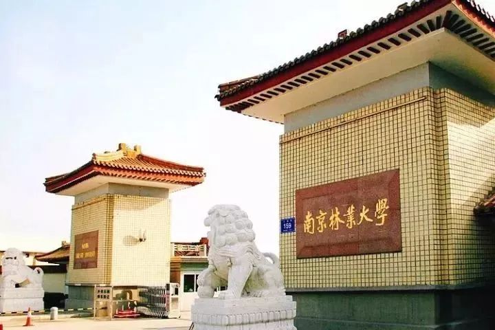 最新!2018南京13所大学毕业平均薪酬排行榜出