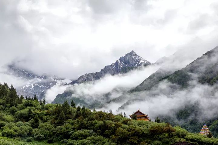 玩家｜来，躲开炎炎夏日，到四姑娘山看花，过“春天”