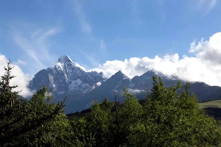 玩家｜来，躲开炎炎夏日，到四姑娘山看花，过“春天”