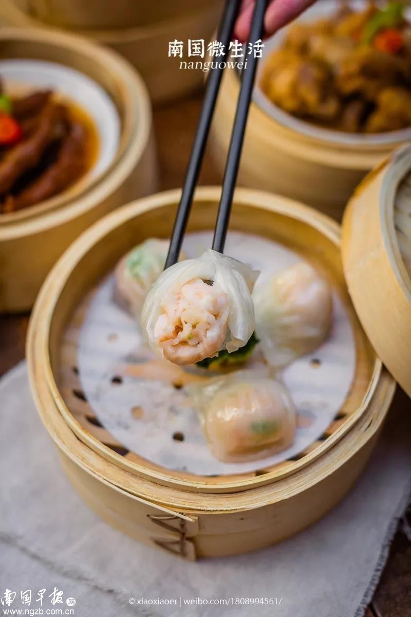 人均不到40元 在南宁东南亚 丛林 里饮早茶 感受阳光的温暖 东南亚 早茶 茶点 新浪新闻