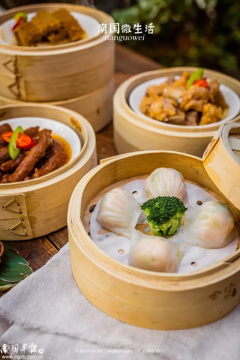 人均不到40元 在南宁东南亚 丛林 里饮早茶 感受阳光的温暖 东南亚 早茶 茶点 新浪新闻