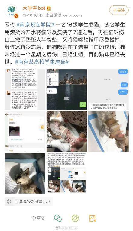 澳英线上娱乐|江夏超高人气小区欣馨家园二期 VS 流金港都?