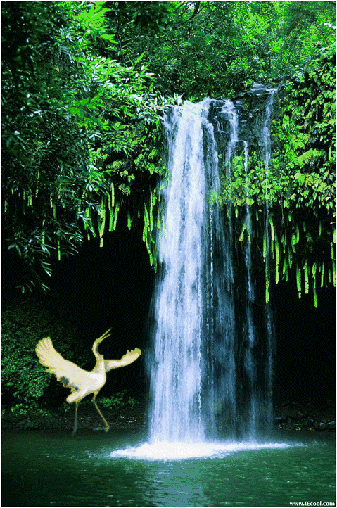 美好的祝福,送给最爱的朋友们