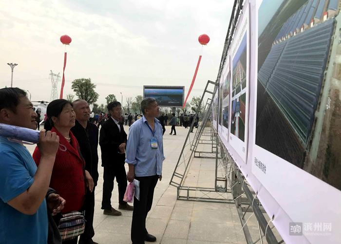 对接雄安!惠民苗木加入雄安新区千年秀林工