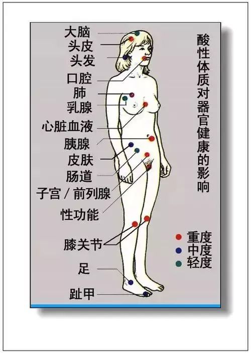 人体器官分部彩图及知识大全，太珍贵了！（建议收藏）