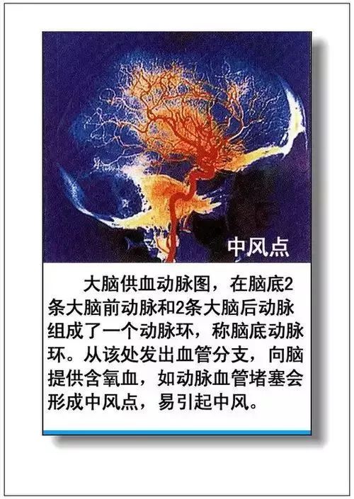 人体器官分部彩图及知识大全，太珍贵了！（建议收藏）