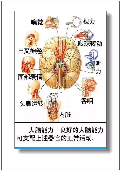 人体器官分部彩图及知识大全，太珍贵了！（建议收藏）