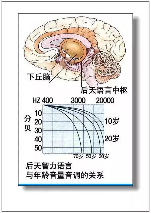 人体器官分部彩图及知识大全，太珍贵了！（建议收藏）