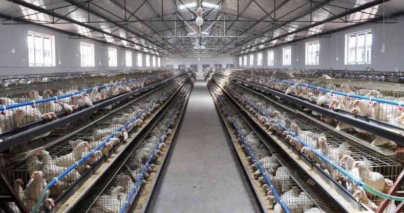 安徽2018全省农业工作会议提到的十大工程讲