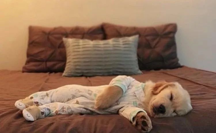 有一种成功叫做,我消灭你,但与我无关