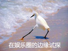 点击查看大图 观天下直播:影视圈20年目睹之怪现状