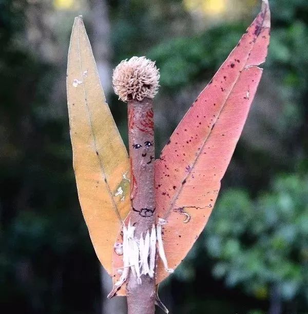 10个好玩又好看的户外亲子游戏,春天的周末就