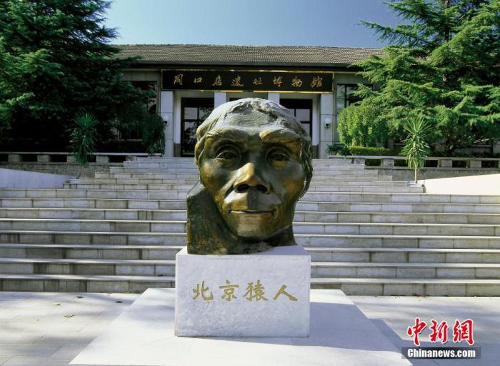  资料图：北京房山区，周口店遗址博物馆前的北京猿人铜像。 谭明 摄 图片来源：CTPphoto