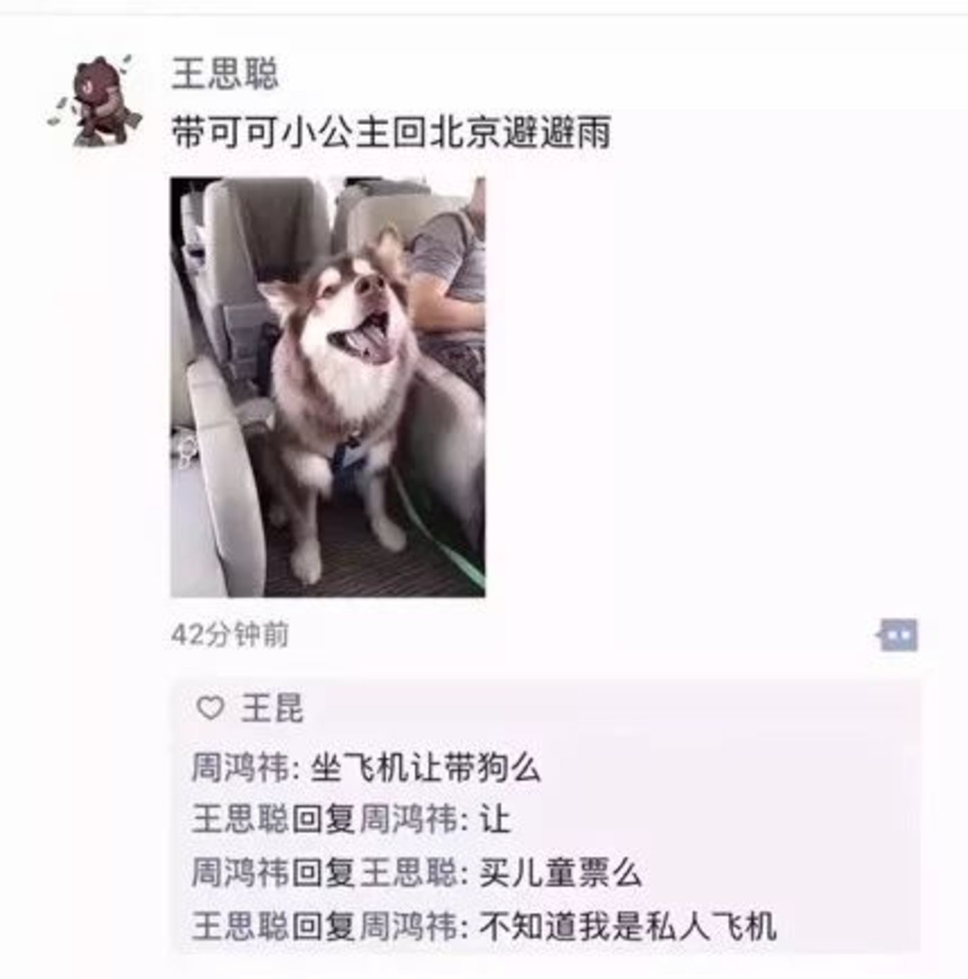 会员玩黑彩可以赢吗-写意牡丹构图、画法及调色技巧