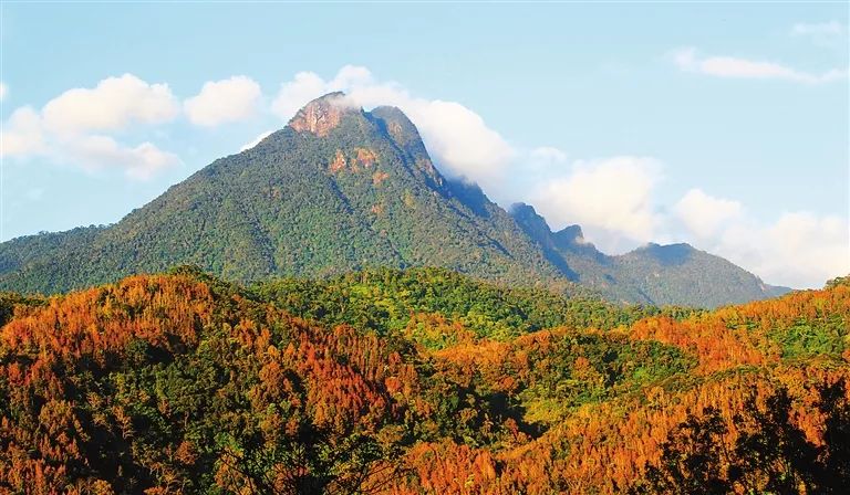 小岛君游玩五指山三月三这个景区免门票推荐5条自驾旅游线路