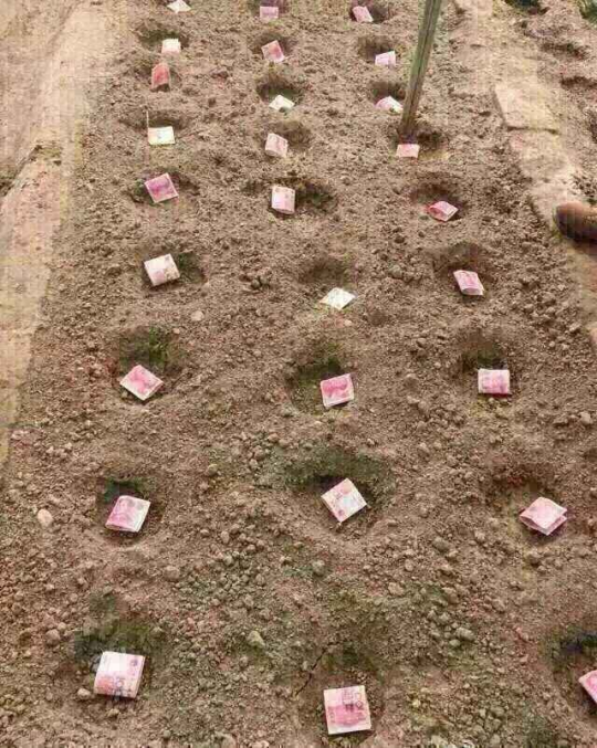 大B神脱口秀:初中生菜园蹲点蹭WIFI玩吃鸡游戏,被警察误认偷鸡贼