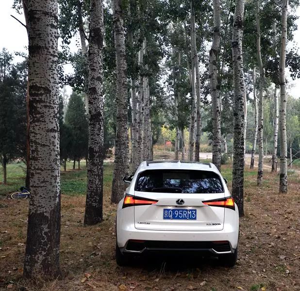 试驾|Lexus NX300h:俊朗造型显刚毅 精湛内饰博芳心