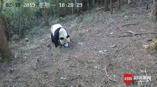 什么叫脑空梗