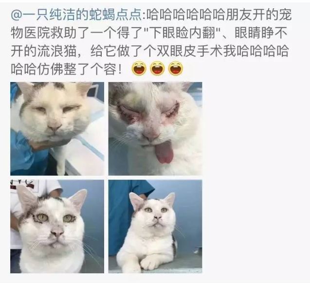 导致睫毛对角膜和结膜有刺激,引起结膜炎,角膜炎,严重的会导致角膜