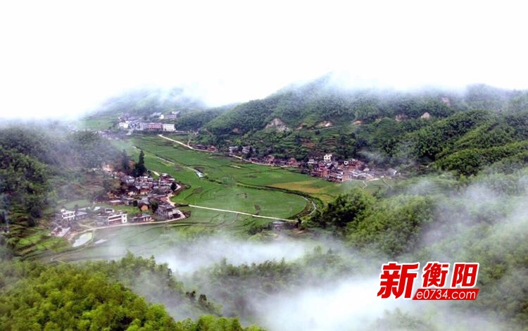 生态有机茶产业成为常宁塔山瑶乡脱贫助推器