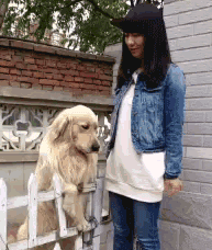 女司机无证超速驾驶酿悲剧 动图 姑娘这手速咋练的?