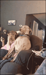 同九年，汝何秀？