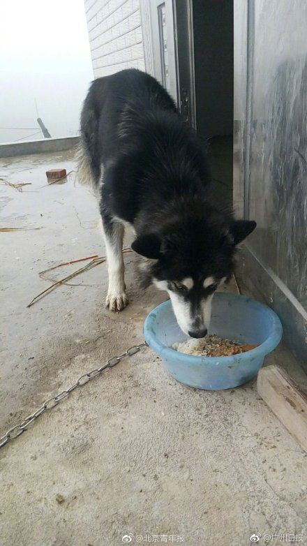 �������˽�����û��ת�˵��� ����һ��2��13�������