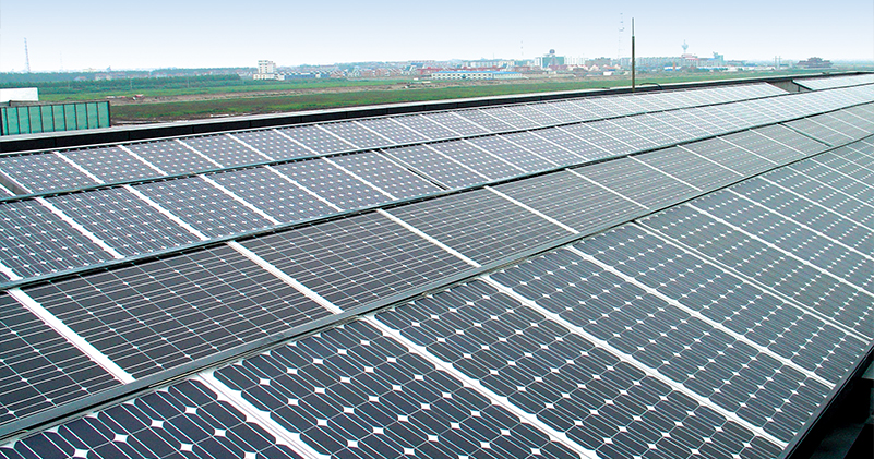 首份风电、光伏平价上网政策下发,无补贴项目