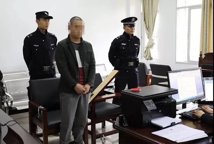 竞彩投注比|解读中国粮食丰收“密码”——写在世界粮食日到来之际