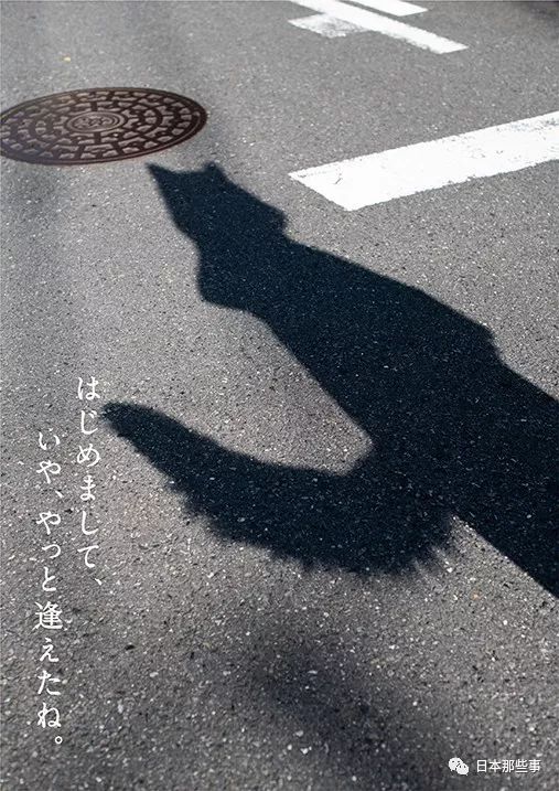 吃出了一只小狐狸 这也太可爱了吧