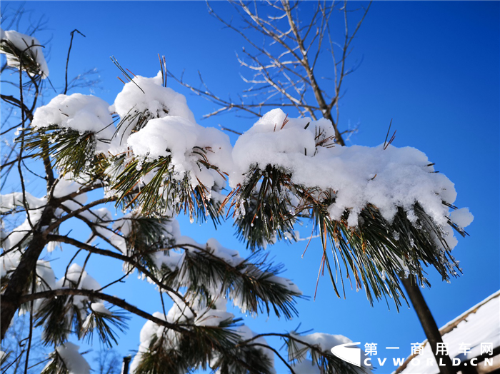 驰骋长白山 且看域虎如何在冰雪世界为所欲为