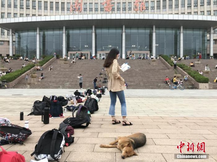 「果博东方开户官网网」古风樱花女扇|有美扇在侧,喝茶时的格调会更优雅