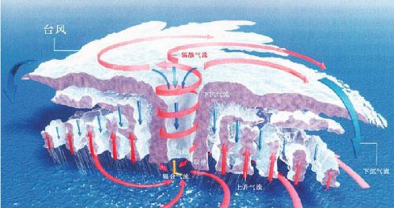 科普|双台风、冬打雷 这些奇怪的现象你知道吗?