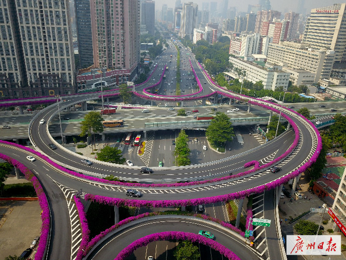 棉北五三人口_人口普查(3)