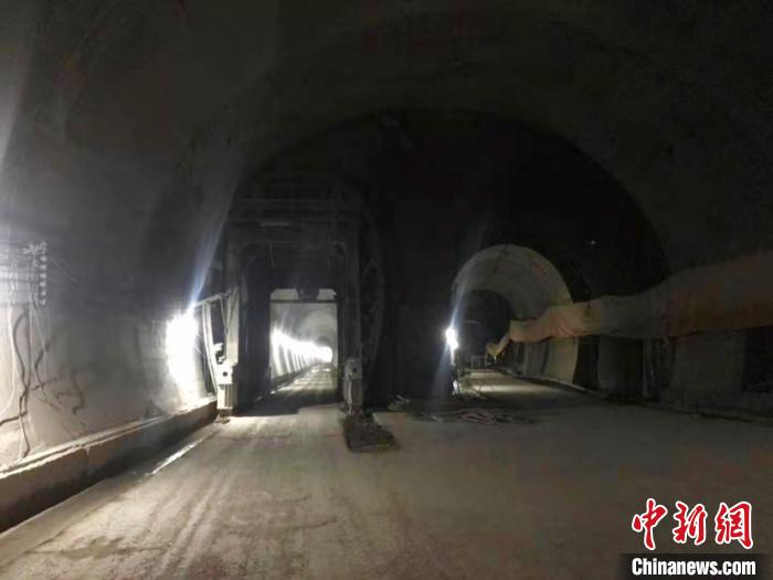 摩臣平台线路 比大熊猫还稀有!8月1日《小Q》带你走进导盲犬的世界