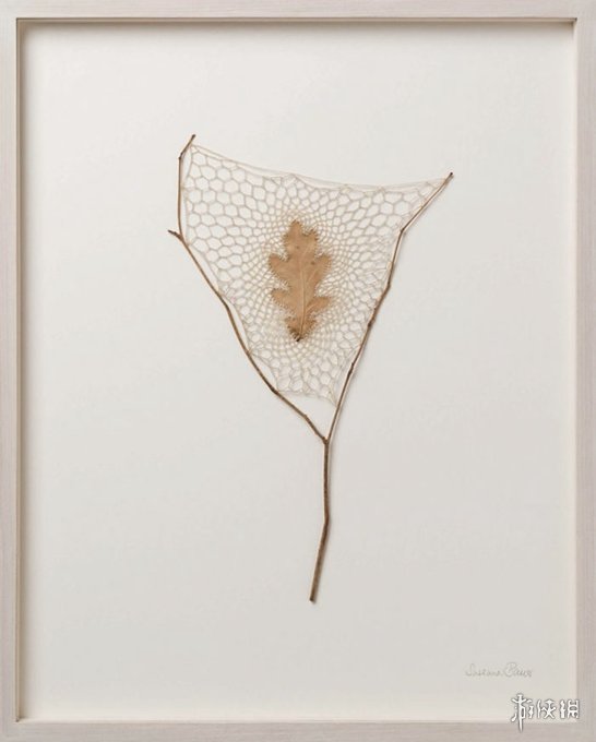 ¹Susanna BauerҶƾƷ Ѳμչ