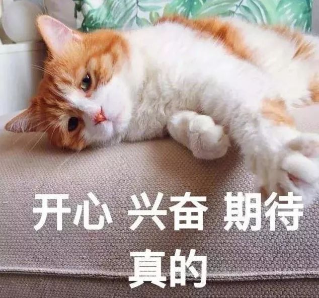 你已过完2019年法定节假日……这周六正常上班！