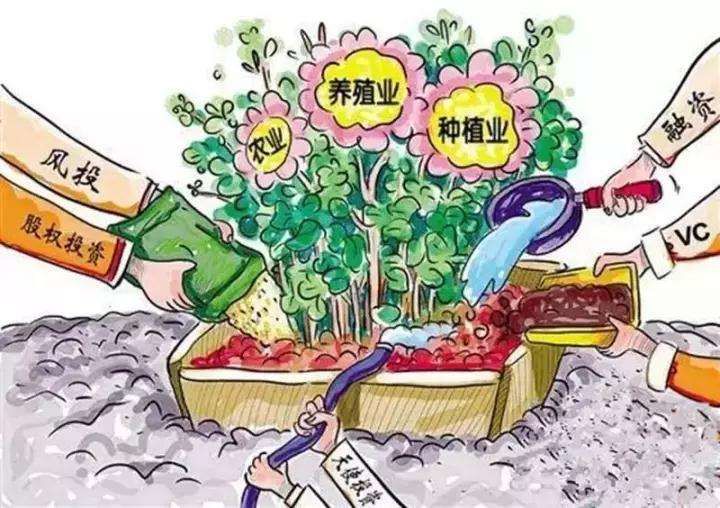 编制《扬州市乡村振兴战略实施规划》 建成40