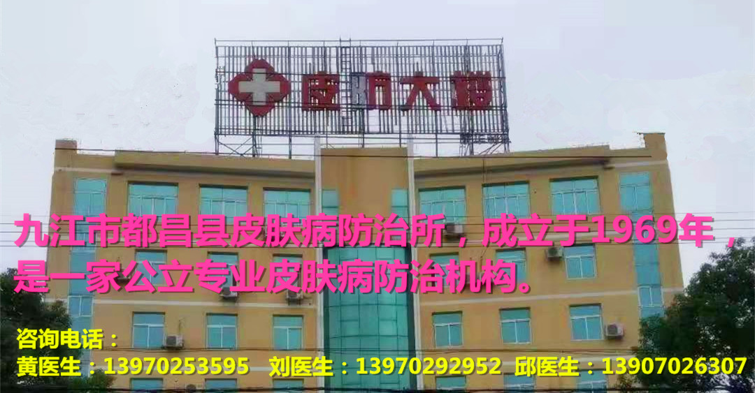 柴桑加快畜牧业转型升级