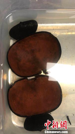 ɶ˫ԪĹ154Ĺ˻ΪսʱŮԹ