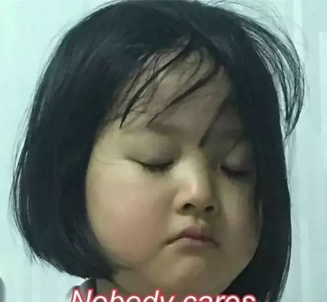 斗图呀!你们知道这几个总出现在表情包的小可爱是谁吗?