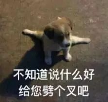 须藤凛凛花宣布退出娱乐圈 可赶紧退圈吧您