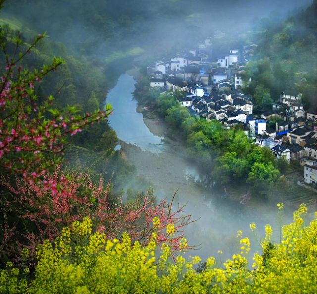 正是安徽赏花季,送你一份拍摄锦囊投身油菜花海